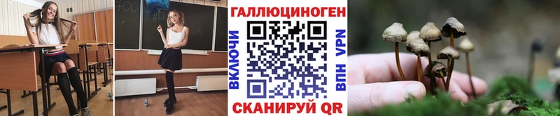 купить наркотик  Вуктыл  Псилоцибиновые грибы Psilocybine cubensis 